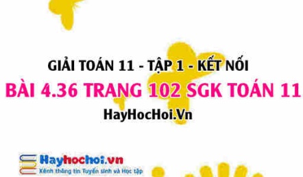 Giải bài 4.36 trang 102 Toán 11 tập 1 SGK Kết nối tri thức